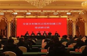 山西省乡村振兴局乡村振兴示范村——三贾村创建“道德小镇”论坛